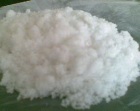 草酸？草酸鈣結石？草酸鹽腎?。? style=